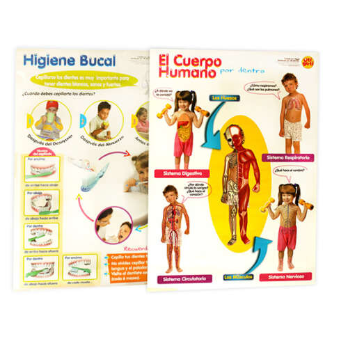 Lamina El Cuerpo Humano Por Dentro / Higiene Bucal