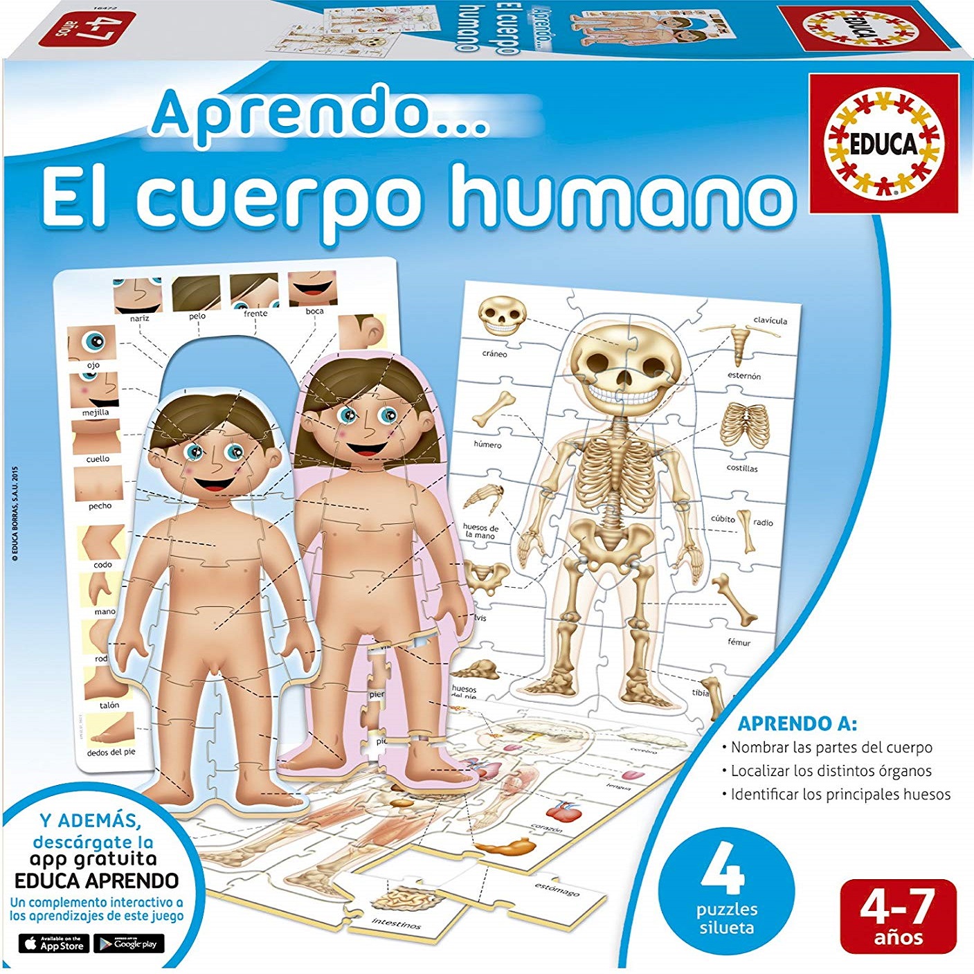 Puzzle Aprendo El Cuerpo Humano