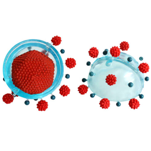 Modelo De Células Virus