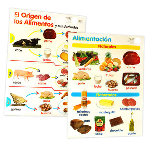 Láminas Alimentación /origen De Los Alimentos