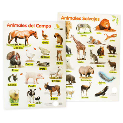 Láminas Animales Del Campo Y Salvajes