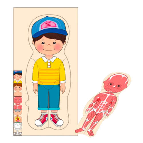 Puzzle Niño En Capas Madera