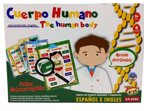 Cuerpo Humano